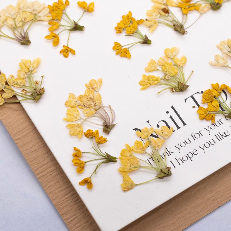24pcs,Natural Real Pressed Flo - огляд і ціна Dried Flower Bookmark