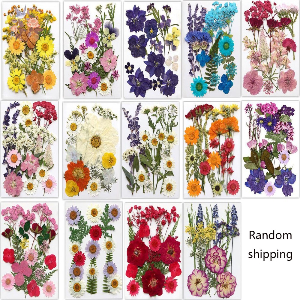 Handmade Pressed Dried Flowers - огляд і ціна Dried Flower Bookmark